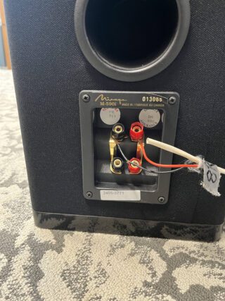 Infinity RS5 Speakers - Image 4