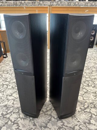 Infinity RS5 Speakers - Image 2