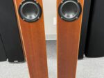 Totem Arro Speakers